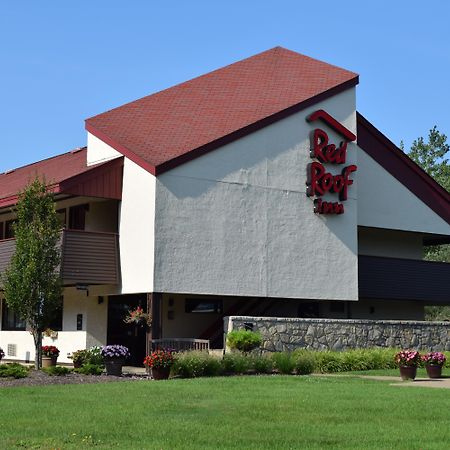 Red Roof Inn Buffalo - Niagara Airport Уильямсвилл Экстерьер фото